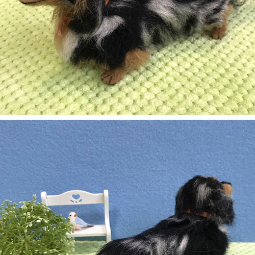 ミニチュアダックス(シルバーダップル)☆羊毛フェルト人形☆【再販