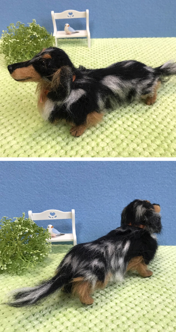 ミニチュアダックス(シルバーダップル)☆羊毛フェルト人形☆【再販/受注製作】 