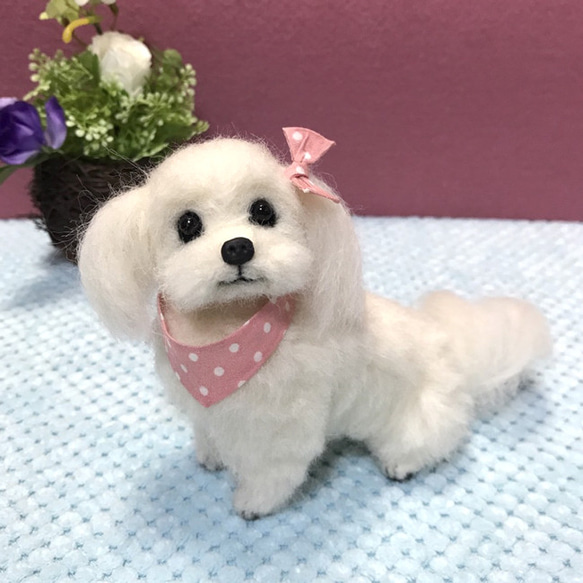 ☆羊毛フェルト 見本 マルチーズ