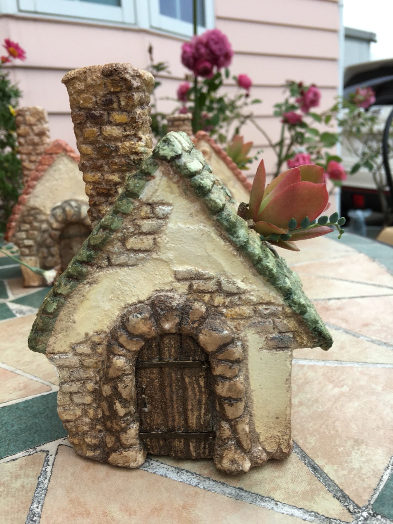 多肉植物も植えれる　モルタルハウス　リッカー