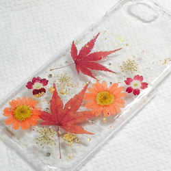 新作☆秋もみじ  紅葉押し花iPhoneカバー 2枚目の画像