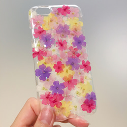 ☆的馬鞭草花圃押花smartphone cover☆Xperia AQUOS,galaxy等。 第1張的照片