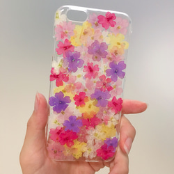 ☆的馬鞭草花圃押花smartphone cover☆Xperia AQUOS,galaxy等。 第4張的照片