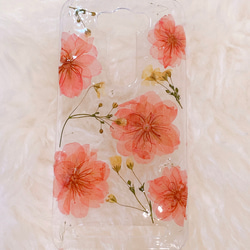 【全機種対応】桜とかすみ草の押し花スマホケース♡iPhone，Androidなどすべて対応できます。 1枚目の画像