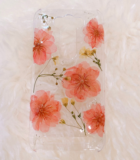 【全機種対応】桜とかすみ草の押し花スマホケース♡iPhone，Androidなどすべて対応できます。 1枚目の画像