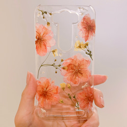 【全機種対応】桜とかすみ草の押し花スマホケース♡iPhone，Androidなどすべて対応できます。 4枚目の画像