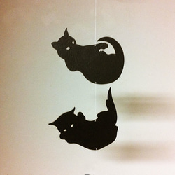 猫（空中立位反射）／黒 2枚目の画像
