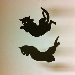 猫（空中立位反射）／黒 3枚目の画像