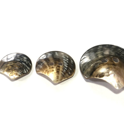 黒蝶貝　貝殻をそのまま加工した 貝ボタン 5個セット　20mm,25mm,35mm 1枚目の画像