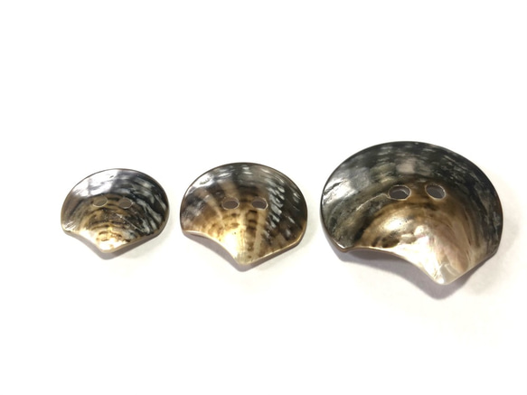 黒蝶貝　貝殻をそのまま加工した 貝ボタン 5個セット　20mm,25mm,35mm 1枚目の画像