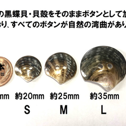 黒蝶貝　貝殻をそのまま加工した 貝ボタン 5個セット　20mm,25mm,35mm 4枚目の画像