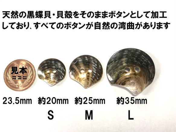 黒蝶貝　貝殻をそのまま加工した 貝ボタン 5個セット　20mm,25mm,35mm 4枚目の画像