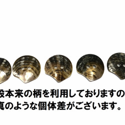 黒蝶貝　貝殻をそのまま加工した 貝ボタン 5個セット　20mm,25mm,35mm 5枚目の画像
