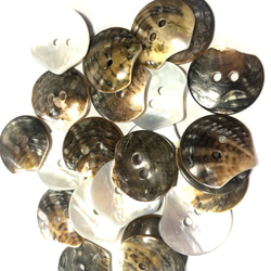 黒蝶貝　貝殻をそのまま加工した 貝ボタン 5個セット　20mm,25mm,35mm 7枚目の画像