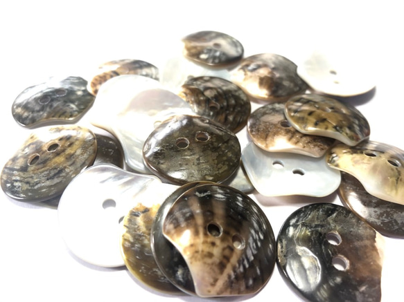 黒蝶貝　貝殻をそのまま加工した 貝ボタン 5個セット　20mm,25mm,35mm 8枚目の画像