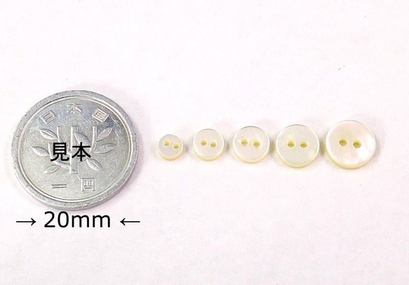 小さい小さい貝ボタン　人形・ドールに　白蝶貝ボタン　まっ平ら型 SH1120 2穴 4mm〜 2枚目の画像