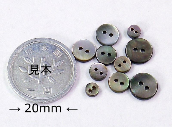 小さい小さい貝ボタン　人形・ドールに　黒蝶貝ボタン　まっ平ら型 SH1120 2穴 4mm〜 1枚目の画像