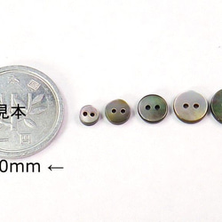 小さい小さい貝ボタン　人形・ドールに　黒蝶貝ボタン　まっ平ら型 SH1120 2穴 4mm〜 2枚目の画像
