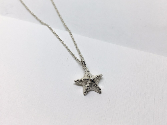 ニャーミ「海スモールワールド」海の星のネックレス。 925スターリングシルバー。純銀 2枚目の画像