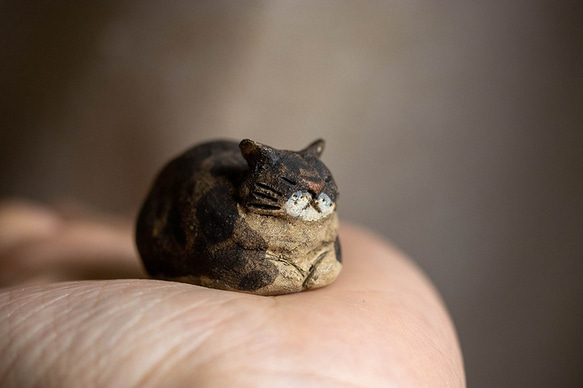 香箱座り【猫_378】 3枚目の画像