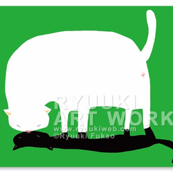 明信片【58：黑貓白貓】５枚組 第1張的照片