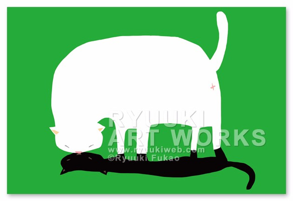 明信片【58：黑貓白貓】５枚組 第1張的照片