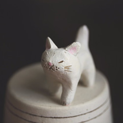 白猫【猫_029】※お好きな色のマフラー巻きます 4枚目の画像