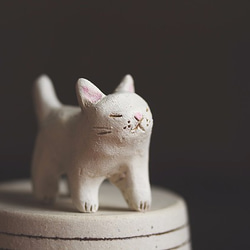 白猫【猫_029】※お好きな色のマフラー巻きます 6枚目の画像