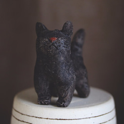 黒猫【猫_097】 4枚目の画像