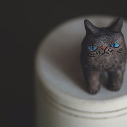 青い瞳の黒猫【猫_140】 2枚目の画像