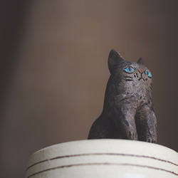 青い瞳の黒猫【猫_140】 9枚目の画像