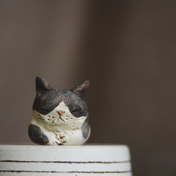瞑想猫【猫_173】 1枚目の画像