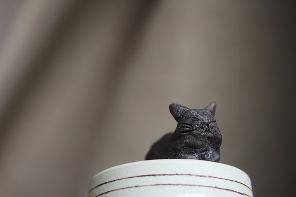 クロちゃん【猫_187】 9枚目の画像