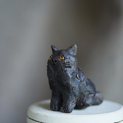 黒猫お座り【猫_279】 3枚目の画像