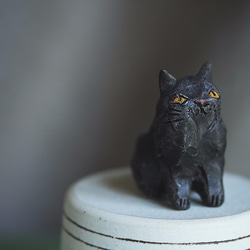黒猫お座り【猫_279】 6枚目の画像