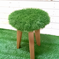 turf stool (芝のスツール) 1枚目の画像