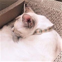 機械刺繍　猫首輪　デイジー（イエロー） 6枚目の画像