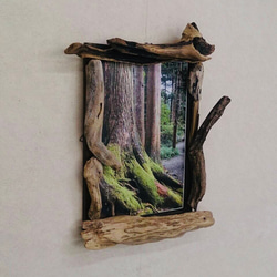 1_65172354c8e96ad6029b2f4e0009