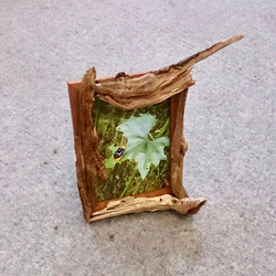 aloha745ページ　流木フレーム aloha745ページ 流木フレーム xiangmu.jpg