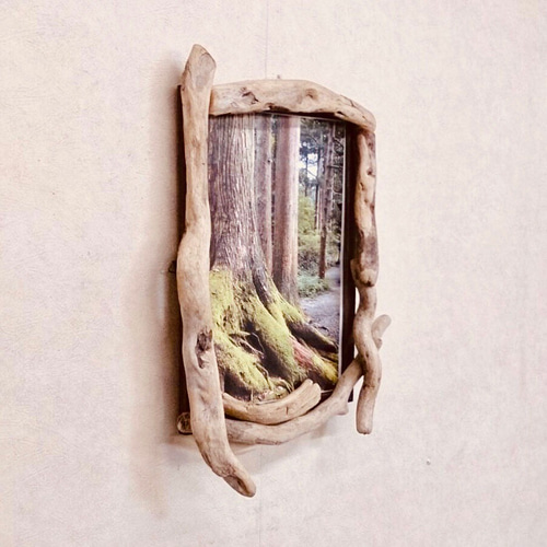 受注品　流木額縁6点 受注品 流木額縁6点 受注品流木額縁6点