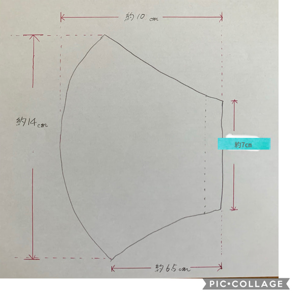  第5張的照片