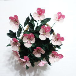 布澗手作布花坊-粉紅三色堇盆花圓點的俏皮浪漫 第1張的照片