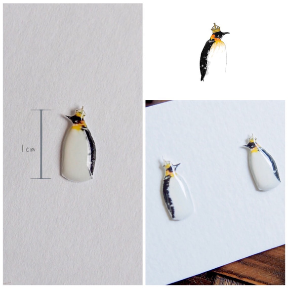 皇帝様ペンギン 3枚目の画像
