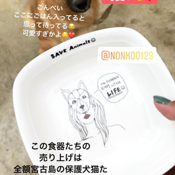 NEW designスクエアプレート！宮古島の犬猫を助けよう❥❥保護活動に全額寄付します♡ 5枚目の画像