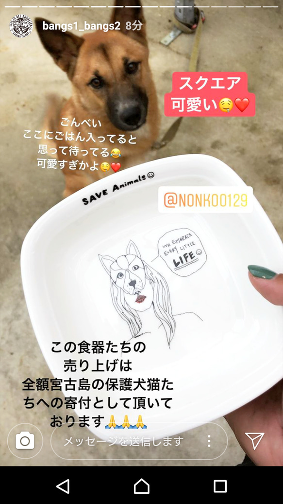 NEW designスクエアプレート！宮古島の犬猫を助けよう❥❥保護活動に全額寄付します♡ 5枚目の画像