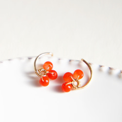 14K 日本紅珊瑚耳環 14k 純金 第3張的照片