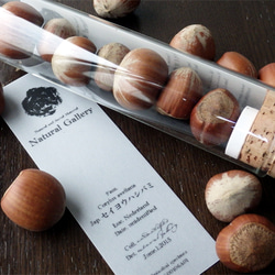 Seed mania bottle “Hazelnut” 1枚目の画像