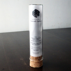 Seed mania bottle “Italian Cypress” 2枚目の画像