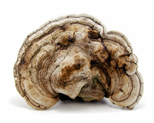 1_7462d11b80568e64e63f88468ae6