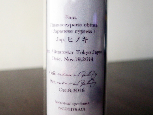 Seed mania bottle “Japanese cypress” 5枚目の画像